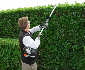 Man Edging off Shrub