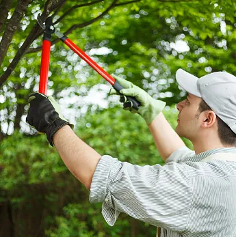 Man with Shears